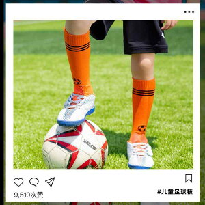 C LbY q   TbJ[ \bNX w j̎q ̎q wZ Kp ~ z n X|[c Đ@