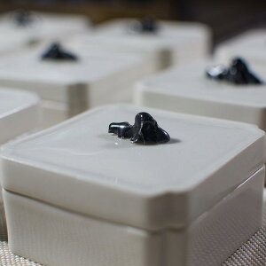 ӃP[X i 킢  ؊D  є  