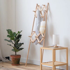 nK[bN ؐ Beech Lk R[gnK[ Ȉ ֎[ Q  Ǌ  X