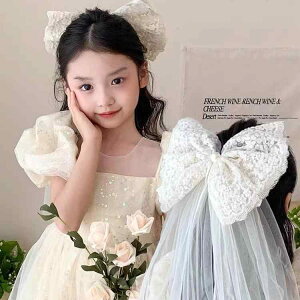 wAANZT[ qp J`[V `[  vZX p[eB[ a ʐ^Be  킢