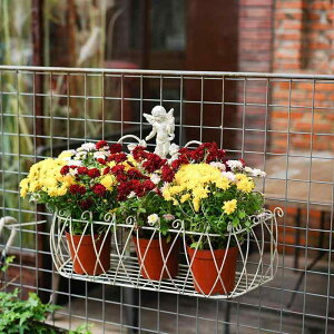 Ǌ|bN ACA Vg 2Zbg Ǌ|I EH[VFt I [I AeB[N [sA g  JtF CeA fBXvC