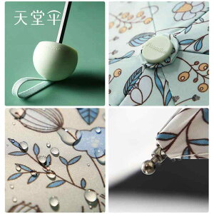 P fB[X P ܂肽ݎP y Jp UVJbg RpNg gѕ֗ 킢  ԕ   