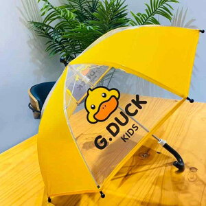 P qp P J[g[ 蓮 P xr[ ct CG[ ubN 8{