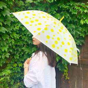 P fB[X qp  hbg Jt rj[P J P 킢  v OXt@Co[ S