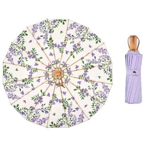 P fB[X Jp P UVJbg  16{ O܂  킢 y OXt@Co[