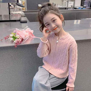 q jbg J[fBK ̎q H AE^[ w wN |GXe sN zCg