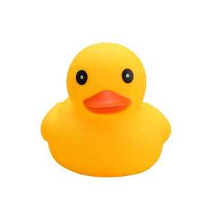  xr[ ȉFAq V C v[  Aq Ԃ 