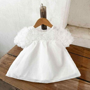 s[X xr[ELbY ̎q [X `[ ԕ vZX t  G AC nRbg 킢 i a  \