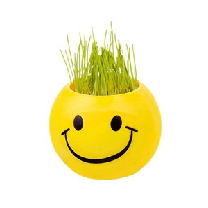  qpii w  a v[g pI wj ct wZ ߋ [ Zbg