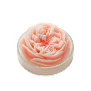 A}Lh fB[X [Y I[XeB 킢 t 哤bNX  낤 sNn CG[n O[n p[vn u[n G Mtg v[g }