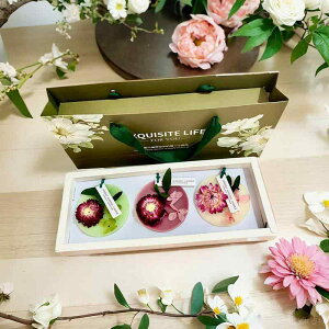 A} MtgZbg  pI e  搶 a v[g   哤bNX 