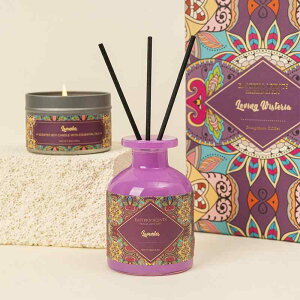 A}Lh gC F [Y WX~ x_[ n[o C Z[W bNX ƒp Mђ뉀