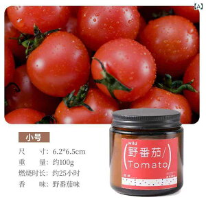 A}Lh ؃g}g̍ 哤bNX  Jbv^ 100g 200g z[tOX bNX  Mtg v[g