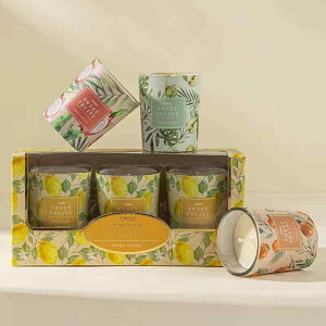 A}Lh 哤bNX Jbv^  E[   VNhSt[c CMX t[WA  F L 