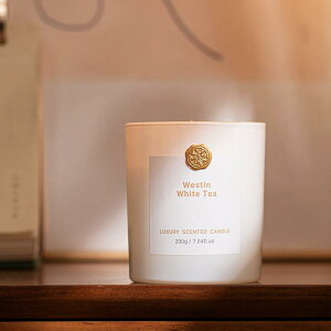 A}Lh CeA G k Mtg a  ObY 哤bNX  ߂̗Uf Ξ Ebh[Y WX~ ? EFXeB