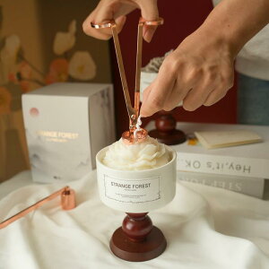 A}Lh 퐻 A[gt[ 哤bNXgp o[Xf[Mtg Z~bN CeAG t  낤 ̓ a j