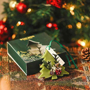 A}bNXTVF z[tOX F N[[bgp X 蕨 Mtg 3Zbg K[fjA  E[h  