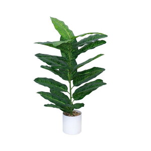 ϗtA mԗt U   lH A k CeA rO Q