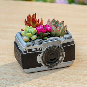 ԕr A |bg J^  z[fR[V [  ÓT Aؔ