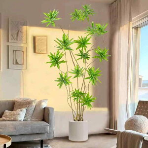  ϗtA CeA S| A ^ tFCNO[ rO  ItBX Q  0.9m 1.2m 1.4m 1.6m 1.8m 2m