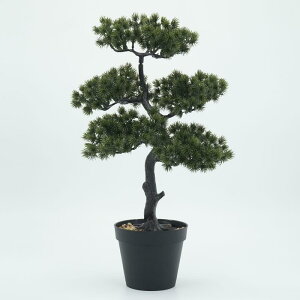 lHϗtA }q ~ TӃX^C TCY  [ CeA  q