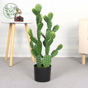 A tFCN T{e CeAG fBXvC A MѐA  O 