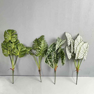  ϗtA CeA tFCNO[ A lH A   t Xe L @ C g p Pz | ʈ HC