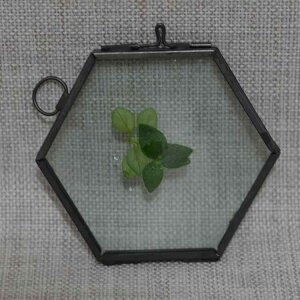 tHgt[  Zp` KX ʐ^ g AeB[N rO xbh[ 