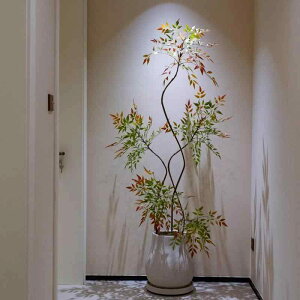 A V ϗtA CeA  t lH 160cm 180cm rO 