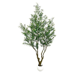  Aؔ 2.4m I[u̖ CeA 唻 ϗtA tFCNO[ rO   