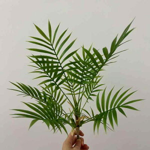 ϗtA CeA A | U tFCNO[ PVC 34cm 40cm 44cm rO   Be k