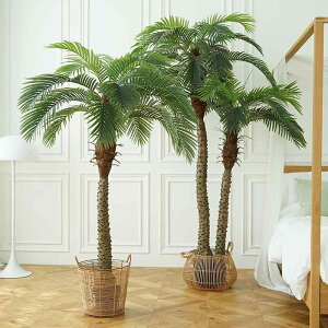  Aؔ  p[c[  V̖ ze VbsO[ ~ CeA fBXvC 