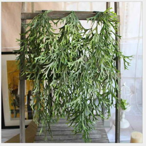 ϗtA tFCNO[ V_ ̊p ݂艺 Ǌ| CeA  VNt[  Be