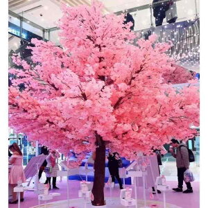     O CeA fR[V   Cxg Vbv ze