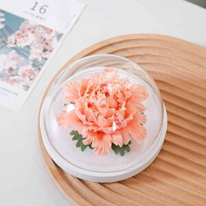 A}Xg[ O   O g   F A} ₵ bNX G Mtg v[g 蕨 LOi