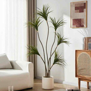 ϗtA N ~ CeA  tFCNO[ hZi 150cm 180cm 90cm 120cm vX`bN ? ?? Y