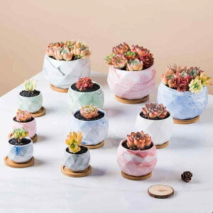 ԕr A Aؔ 픫 ~͔ 嗝Ε 󂯎Mt rt ʋC