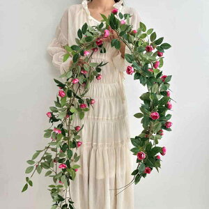  o KN [Y ԓ  ݂艺 Ǌ|  CeA fBXvC  zCg sNn