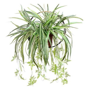  ݂艺 O[ Ǌ| CeA ϗtA fR[V