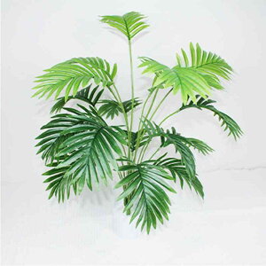 ϗtA tFCNO[ U A  CeA rO Q  ItBX 75cm 60cm