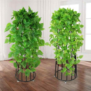 A O[  ϗtA tFCNO[  rO Ԋt CeA fR[V