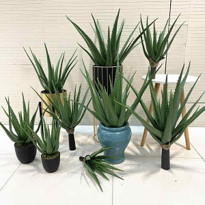 ~ A tFCNO[ ϗtA fXN  rO CeA