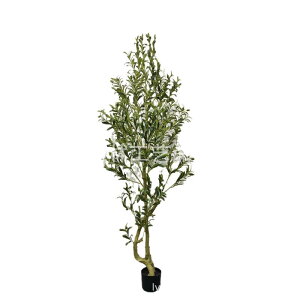 ϗtA I[u̖  n  CeA tFCNO[ |bg A