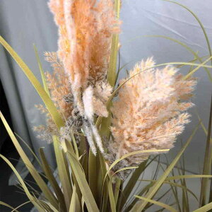  CeA HF ?() mK(IjI) ~ tFCNO[ 150cm