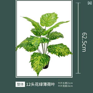 ~ CeAO[  }@ ~g t ϗtA tFCNO[ rO Q  ItBX  u^