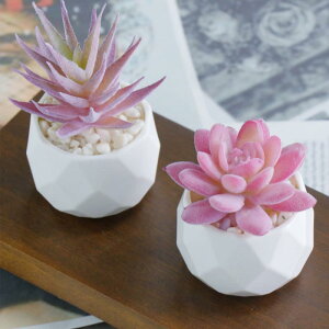 A ~j 񂹐A tFCNO[ ~ fXN  CeA  Be vX`bN