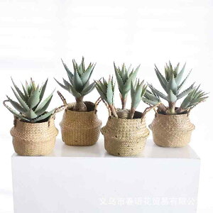 tFCNO[ ? ϗtA lHA A k CeA  Be rO Q 