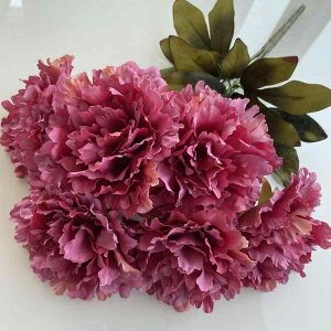  CeA  u u[P  EFfBO p[eB[ Cxg fBXvC rO Q   Mtg v[g(x2)