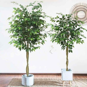 ϗtA tFCNO[ lHϗtA ~  A  k CeA fR[V  120cm 160cm 180cm 210cm