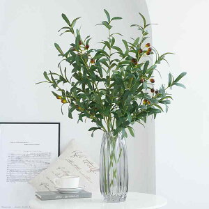  I[u ϗtA tFCNO[ CeA 100cm } t  p[eB[ Cxg  ʐ^Be